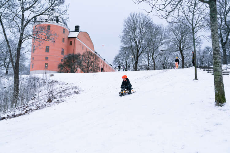 Jullov i Uppsala