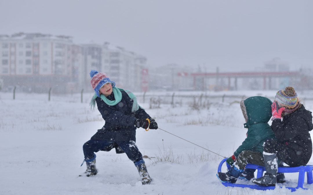 Från Kokslov till Sportlov