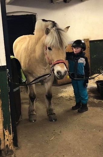 Hästläger sportlov på Gränby 4H-gård
